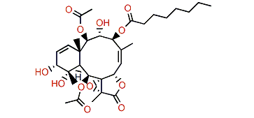 Violide A